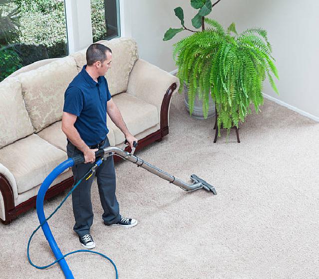 Commercial Carpet Cleaning in Mt Holly